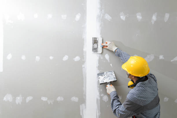 Reliable Wolfhurst, OH Mold Removal Solutions