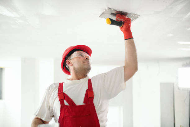Best Mold Remediation for Rental Properties  in Wolfhurst, OH