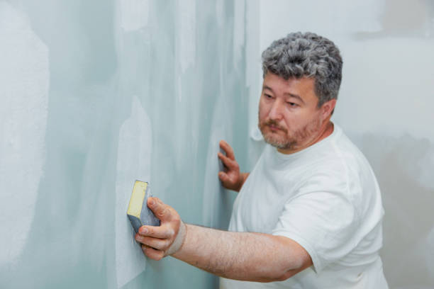 Reliable Wolfhurst, OH Mold Removal Solutions