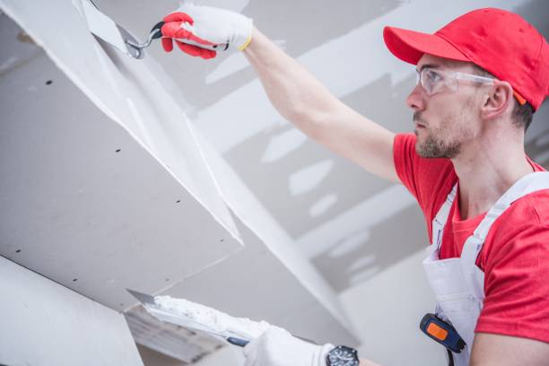 Best Post-Construction Mold Inspection  in Wolfhurst, OH